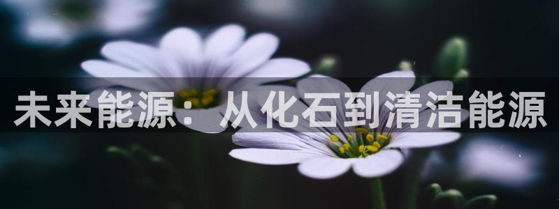 门徒娱乐线路怎么走的