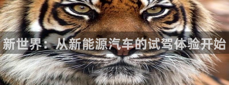 门徒娱乐期看判官333OO：新世界：从新