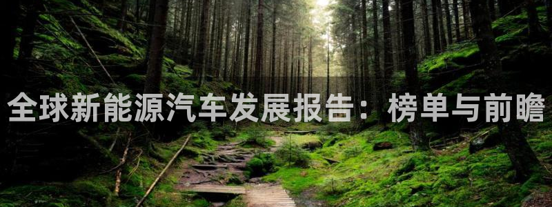 门徒娱乐账号注册不了：全球新能源汽车发展