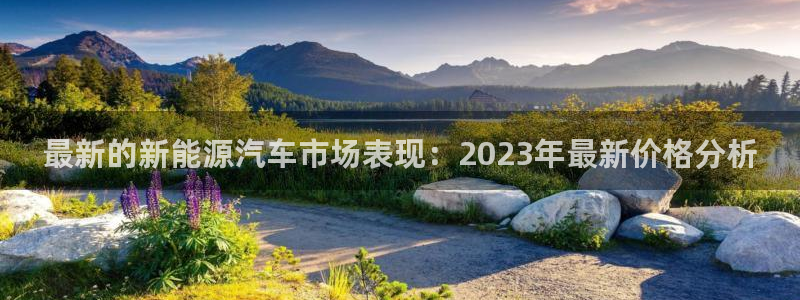 门徒娱乐怎么样知乎文章：最新的新能源汽车
