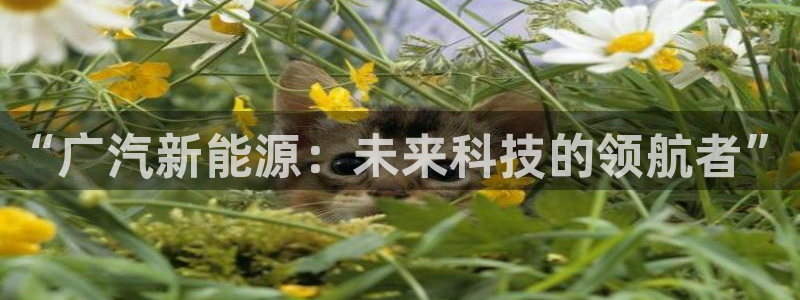 门徒娱乐主管用去判官333OO：“广汽新
