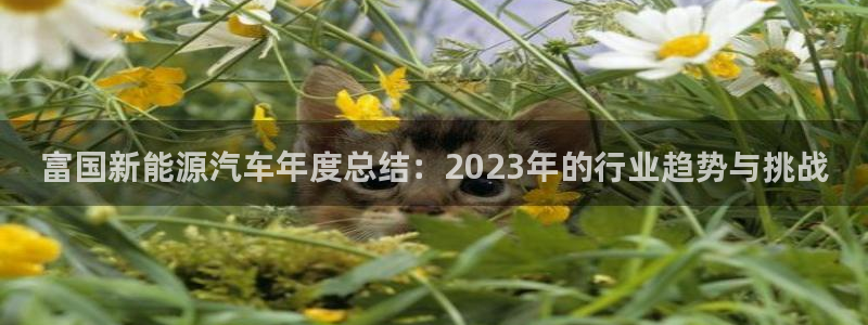 门徒娱乐app代理加盟