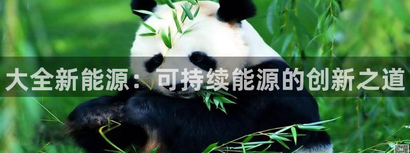门徒娱乐公司介绍文案