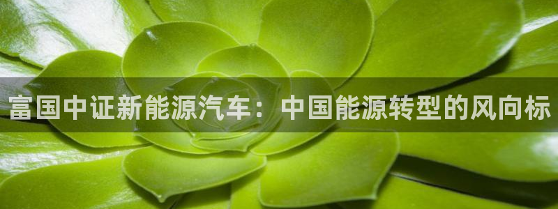 门徒娱乐主管所去判官333OO