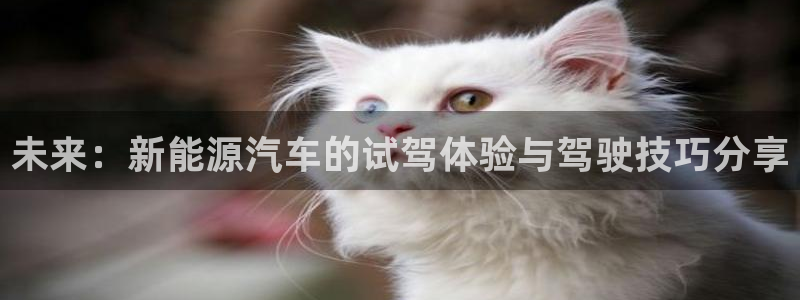 门徒彩票娱乐平台