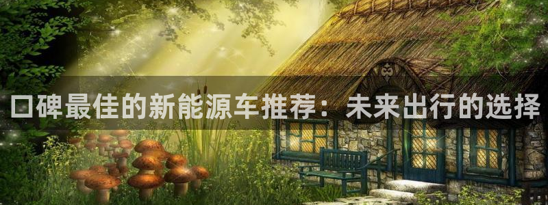 门徒娱乐在线登录：口碑最佳的新能源车推荐