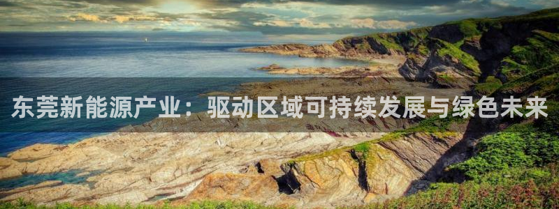 娱乐门徒biquke：东莞新能源产业：驱