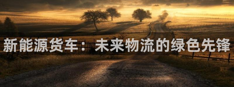 门徒娱乐老板是谁啊视频：新能源货车：未来