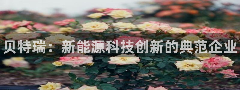 门徒娱乐平台代理登录：贝特瑞：新能源科技