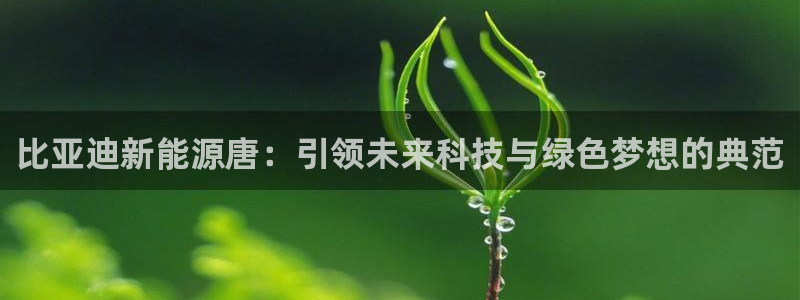 门徒娱乐软件有哪些好用