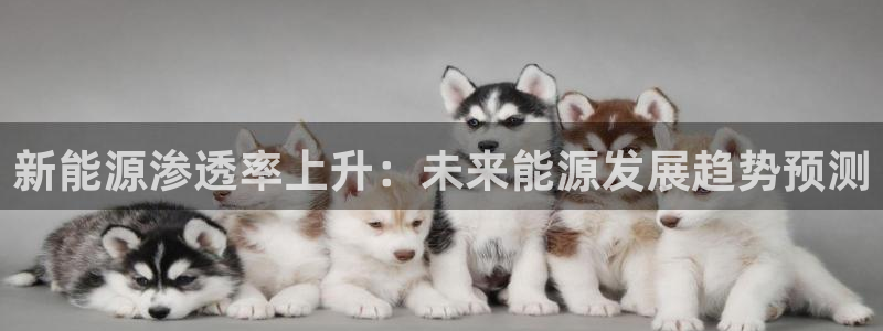门徒娱乐下载手机版