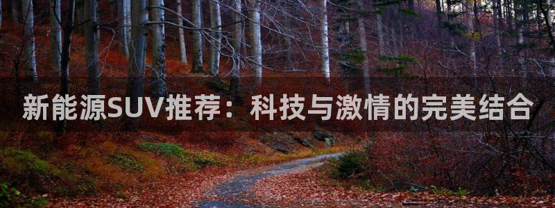 门徒娱乐系37997筘