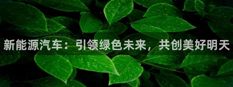 门徒娱乐江7O777：新能源汽车：引领绿