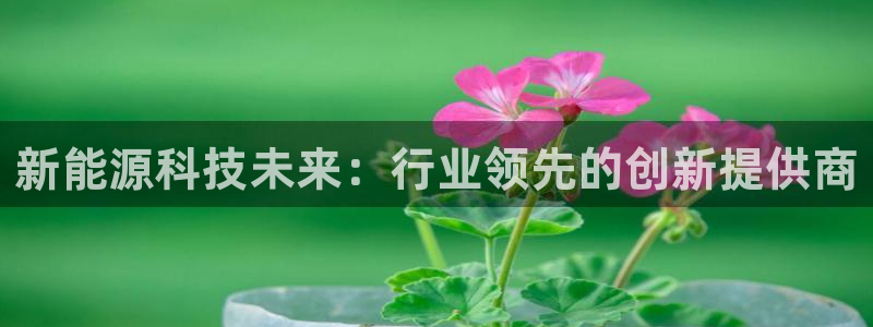 门徒娱乐下载手机版：新能源科技未来：行业