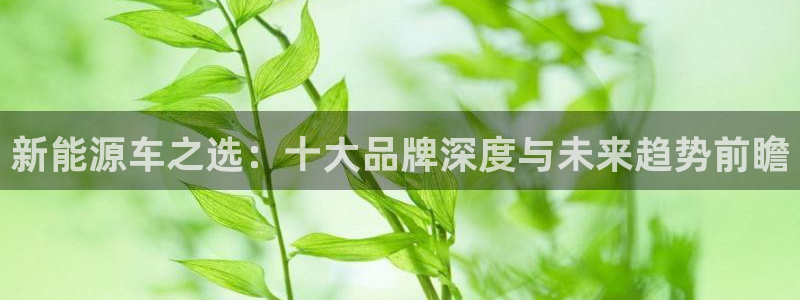 门徒娱乐真的能赚钱吗：新能源车之选：十大