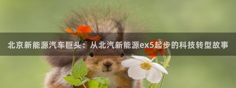 门徒娱乐平台安装教程：北京新能源汽车巨头