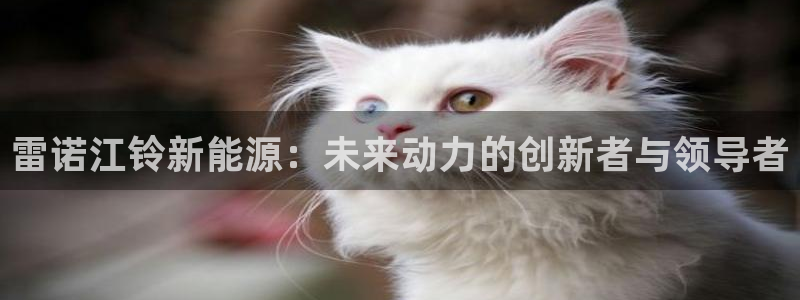 网易娱乐门徒:雷诺江铃新能源:未来动力的创新者与领导者