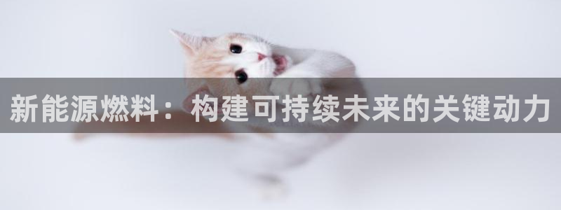 门徒娱乐是玩什么游戏:新能源燃料:构建可持续未来的关键动力