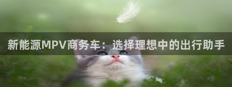 门徒娱乐注册下载安卓:新能源MPV商务车:选择理想中的出行助