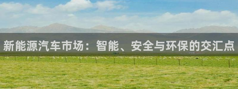 门徒娱乐集团是干嘛的:新能源汽车市场:智能、安全与环保的交汇