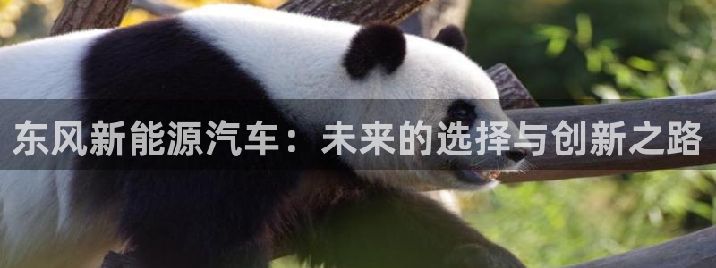 门徒娱乐总代理怎么样啊:东风新能源汽车:未来的选择与创新之路