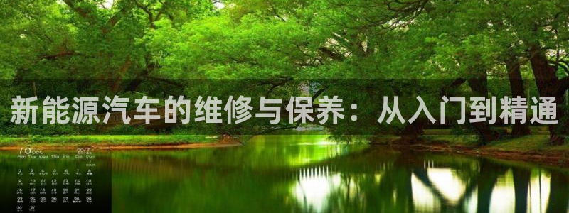 娱乐门徒精校:新能源汽车的维修与保养:从入门到精通