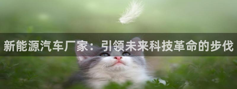 门徒娱乐主管去天神779O3:新能源汽车厂家:引领未来科技革