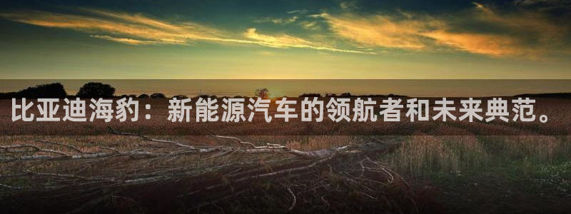 门徒娱乐线路图高清大图:比亚迪海豹:新能源汽车的领航者和未来