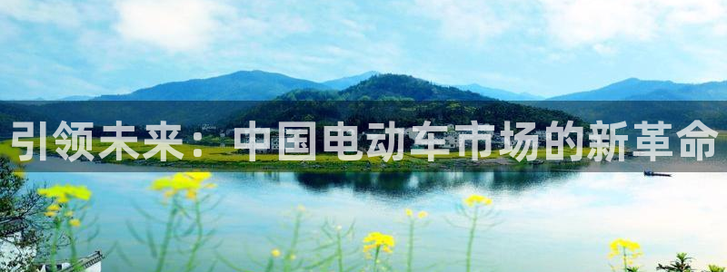 门徒娱乐黑钱多吗:引领未来:中国电动车市场的新革命
