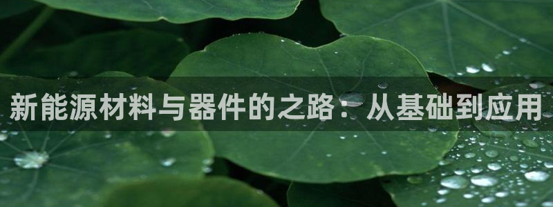 门徒娱乐彩票官网下载:新能源材料与器件的之路:从基础到应用