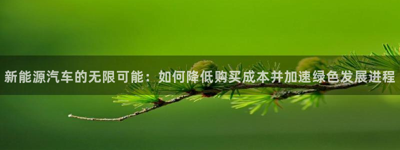门徒娱乐登录中心在哪:新能源汽车的无限可能:如何降低购买成本
