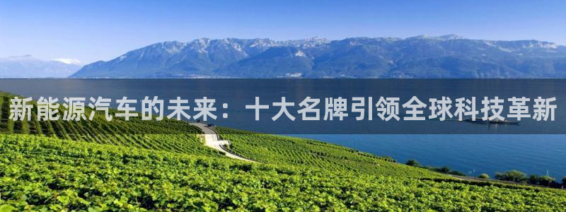 门徒娱乐几67O77:新能源汽车的未来:十大名牌引领全球科技
