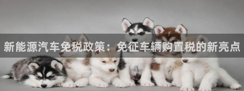 门徒娱乐下求威判官333OO:新能源汽车免税政策:免征车辆购