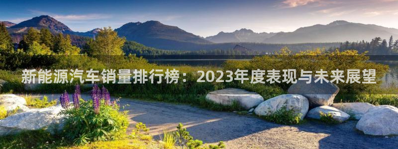 门徒娱乐登录中心官网:新能源汽车销量排行榜:2023年度表现