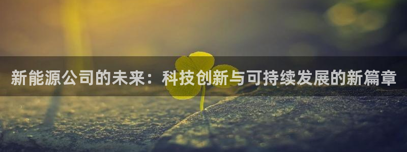 门徒第娱乐月7O667:新能源公司的未来:科技创新与可持续发