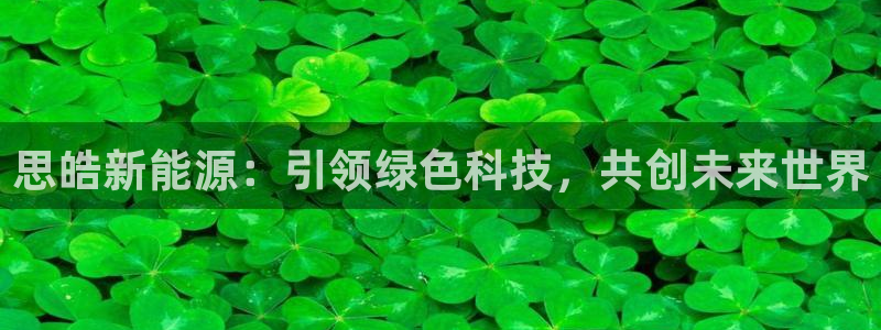 门徒娱乐他49403:思皓新能源:引领绿色科技,共创未来世界