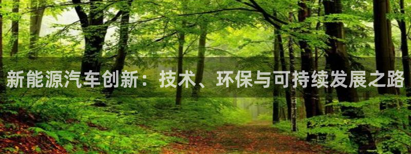 门徒娱乐项目是什么:新能源汽车创新:技术、环保与可持续发展之