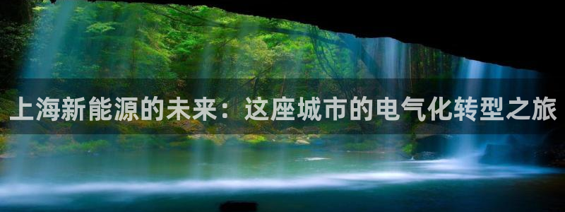 娱乐门徒为什么太监了:上海新能源的未来:这座城市的电气化转型