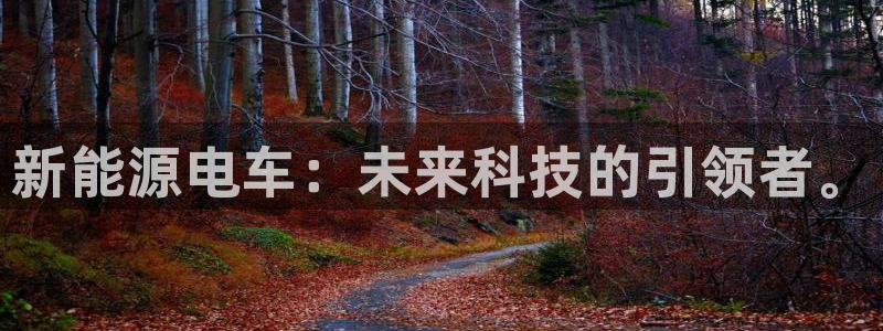 门徒娱乐左7O667:新能源电车:未来科技的引领者。