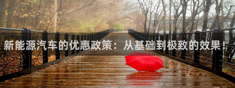 门徒娱乐平台登录不了:新能源汽车的优惠政策:从基础到极致的效