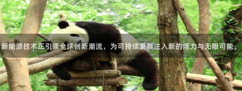 门徒娱乐注册网址:新能源技术正引领全球创新潮流,为可持续发展