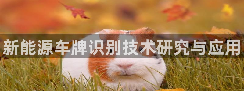 门徒娱乐平台网址:新能源车牌识别技术研究与应用