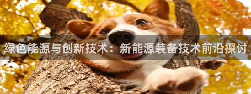 蓝狮和门徒娱乐哪个好玩:绿色能源与创新技术:新能源装备技术前