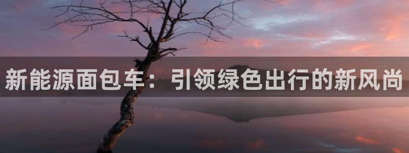 门徒娱乐是玩什么:新能源面包车:引领绿色出行的新风尚