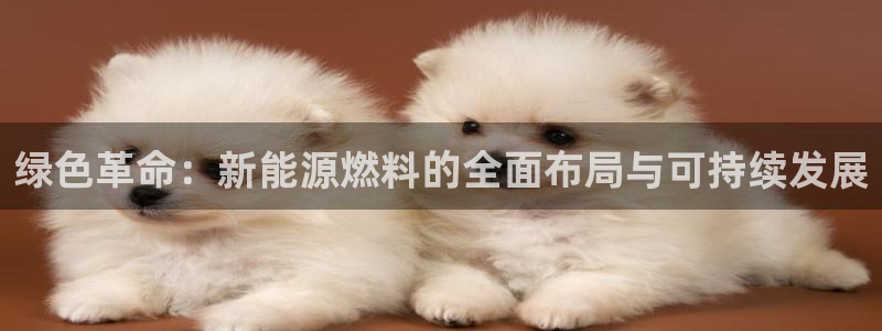 门徒娱乐找qv382223:绿色革命:新能源燃料的全面布局与