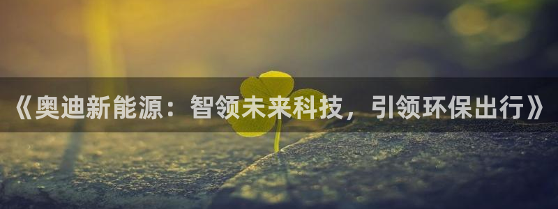门徒娱乐线路怎么走的:《奥迪新能源:智领未来科技,引领环保出