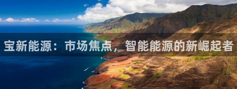 娱乐圈门徒:宝新能源:市场焦点,智能能源的新崛起者