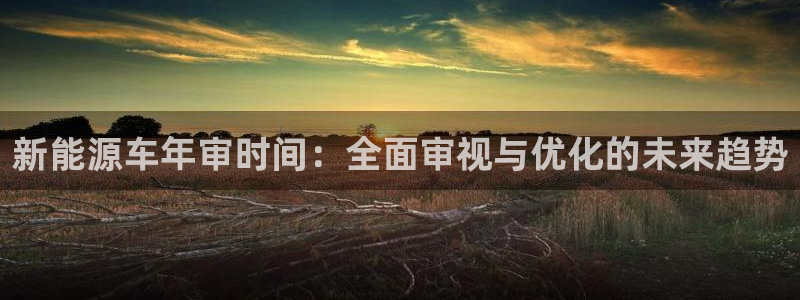 娱乐圈的曼巴门徒是谁呀:新能源车年审时间:全面审视与优化的未