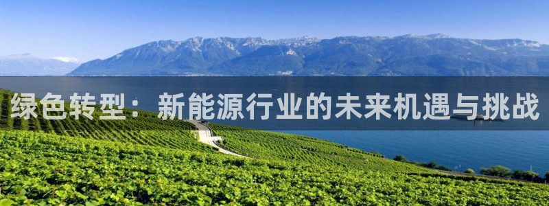 门徒娱乐平台怎么样了:绿色转型:新能源行业的未来机遇与挑战