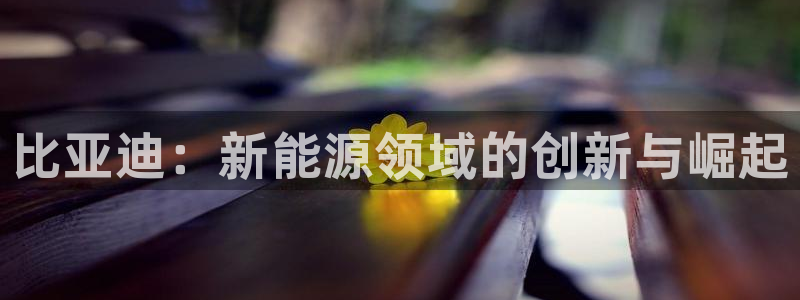 门徒娱乐登录地址